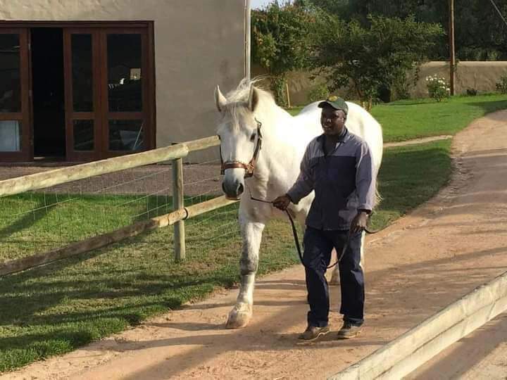 3 Bedroom Property for Sale in Bredasdorp Western Cape